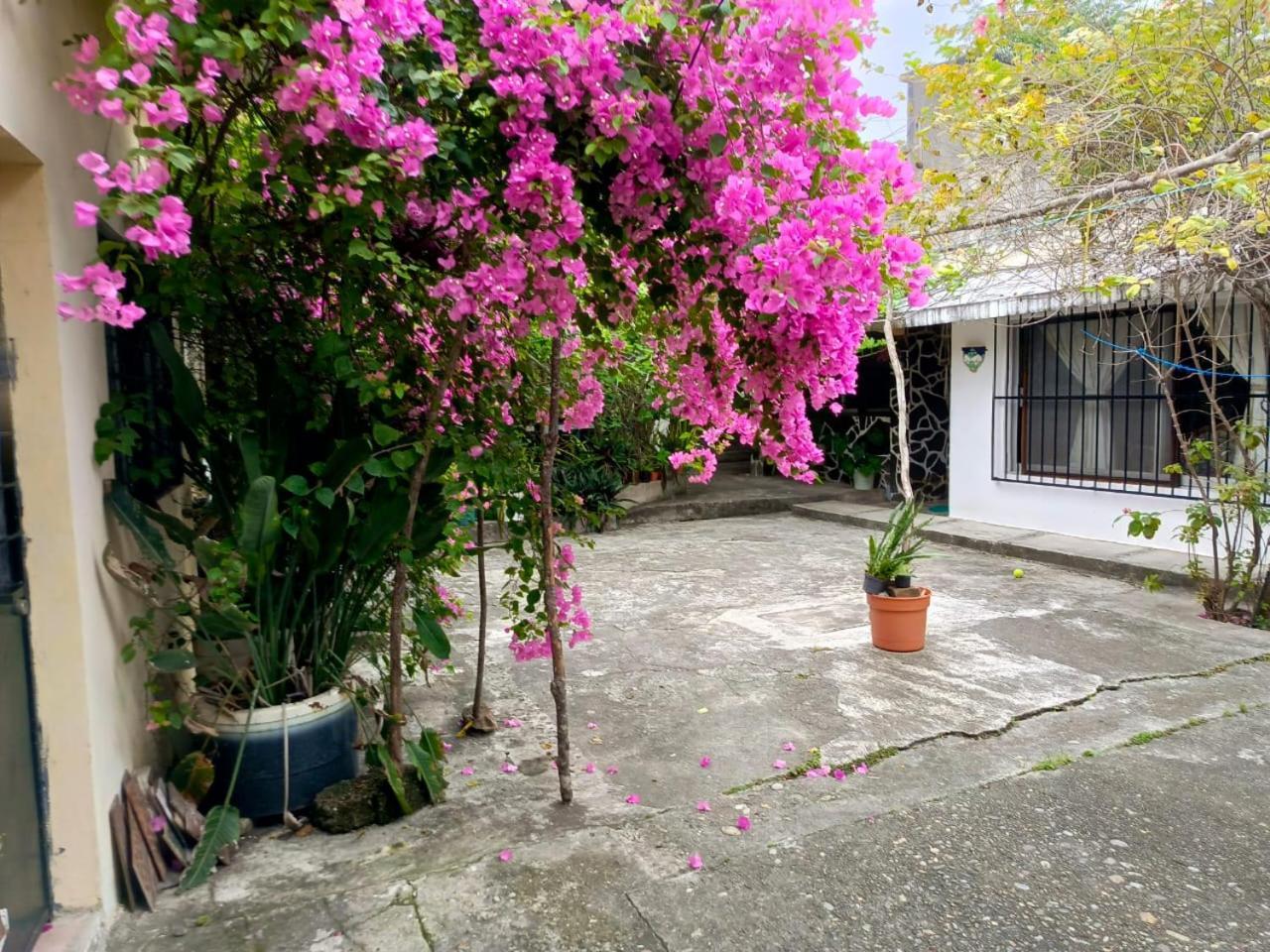 Posada Familiar Papantla Buitenkant foto